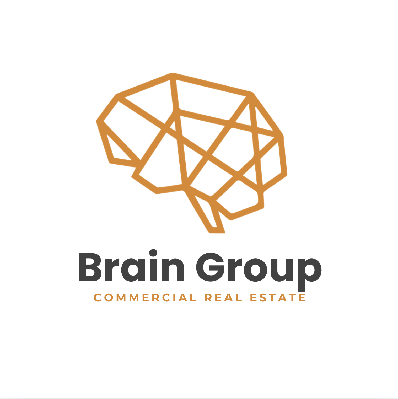 Brain Group commercial real estate logo