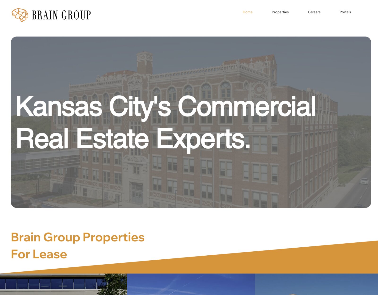 Brain Group website preview